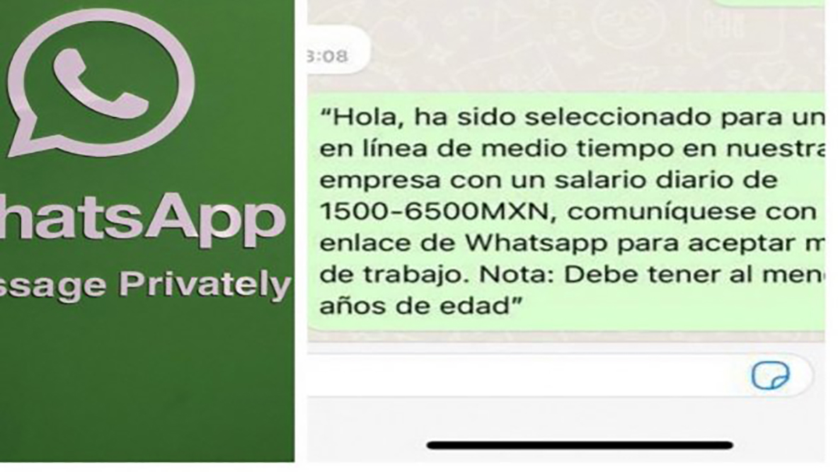 Alerta Profeco de 5 estafas ‘comunes’ por plataforma de WhatsApp - Zócalo