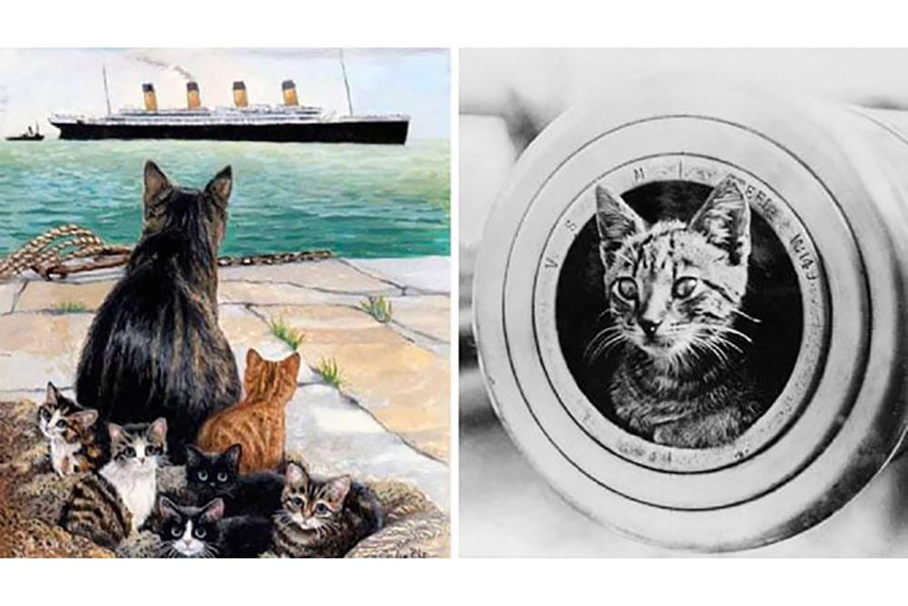 Los marineros consideraban a los gatos portadores de buena suerte; a pesar de que tenían un propósito ‘laboral’, muchos eran amados por la tripu