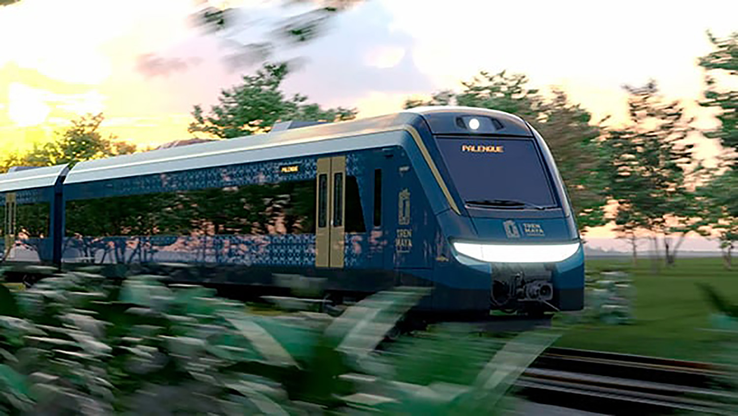 México comete ecocidio y etnocidio con la construcción del Tren Maya ...