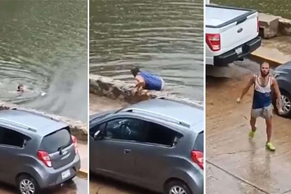 Video: Hombre se salva de ser devorado por 7 cocodrilos en laguna de ...