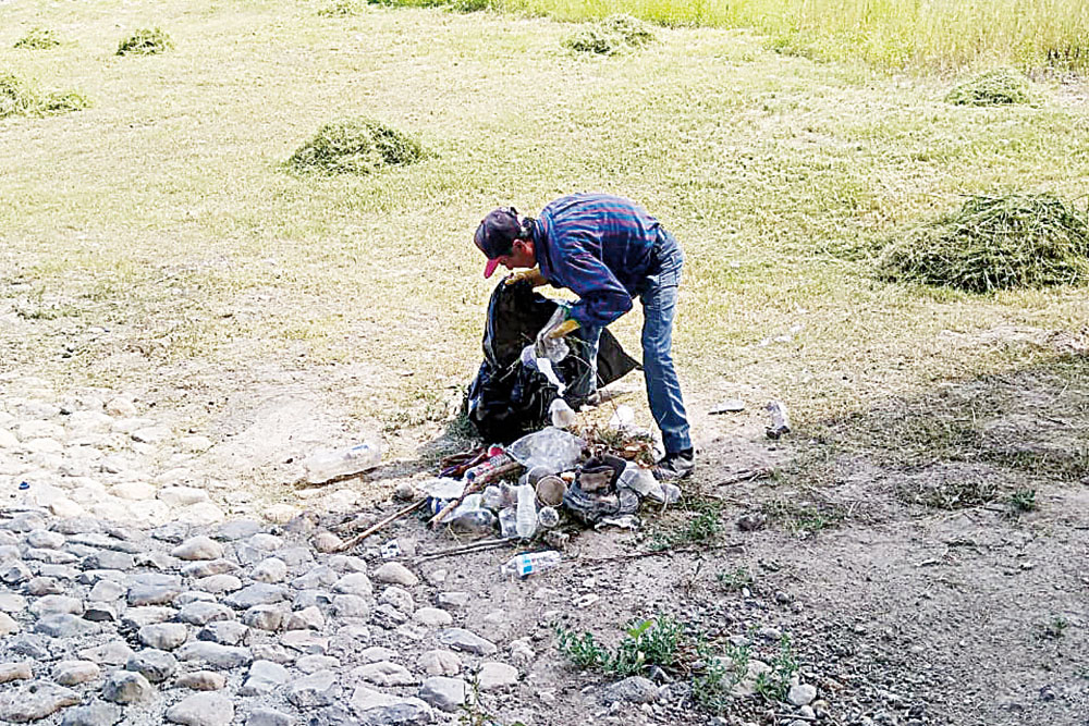Por parte del departamento de Forestación en coordinación con el doctor Arturo González.