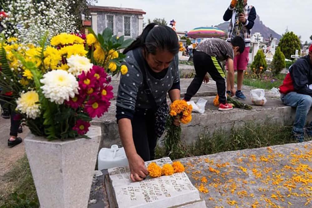 Algunas de las flores más comunes de esta temporada son el cempasúchil, pero para llevar al panteón también se han muy populares las calas, crisan