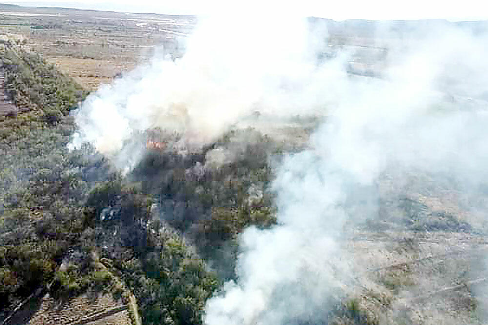 Arde matorral en Abasolo