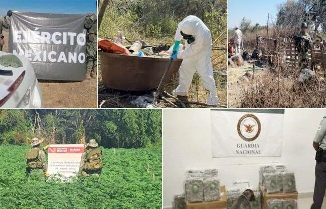 El Gabinete de Seguridad del Gobierno de México presentó el informe sobre las acciones realizadas este lunes 25 de noviembre.