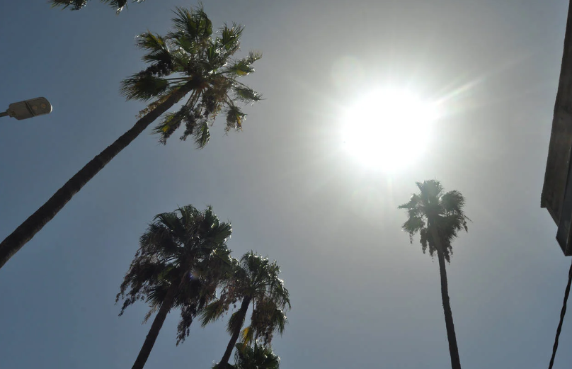 Hoy en Torreón, soleado esta mañana, con temperaturas alrededor de 9°C