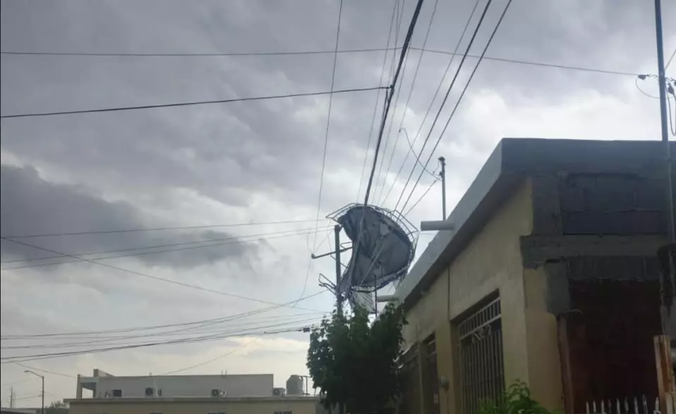 Los vecinos reportaron el incidente, movilizando al sitio a los elementos del cuerpo de bomberos. 