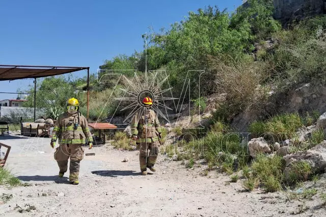 Aunque la búsqueda del panal fue intensa para evitar que las abejas sigan afectando a los vecinos y mascotas de la colonia, los cuerpos de rescate no