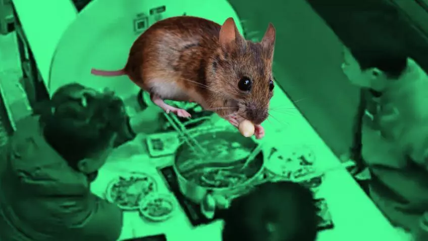 El video se ha hecho viral en plataformas digitales y ha puesto en el ojo público la falta de reglas sanitarias en restaurates de comida asiática