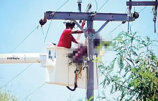 Trabajadores de Procarsa escucharon un estruendo y llaman al 911; bomberos Frontera bajan el cuerpo con apoyo de CFE.