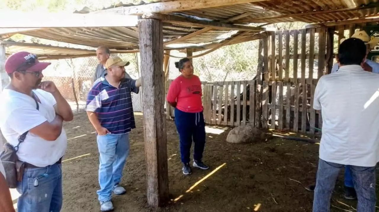 Si bien el seguro ha respondido con la indemnización correspondiente por el ganado perdido