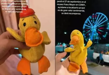 Un tierno pato de peluche con valor sentimental se perdió el 27 de septiembre en el Museo Franz Mayer de CDMX. Su dueña ofrece $3,000 de recompensa 