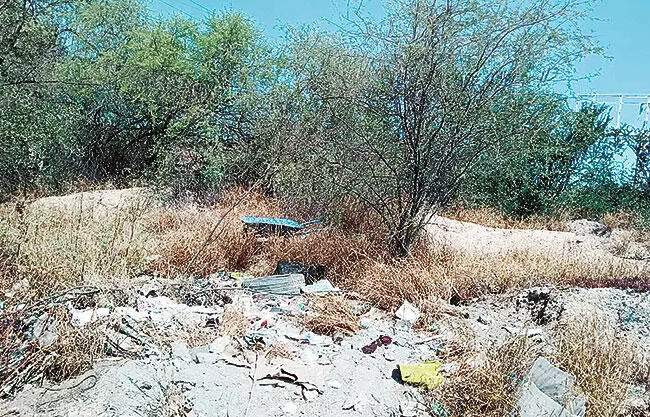 El sexagenario afectado afortunadamente no requirió traslado hospitalario