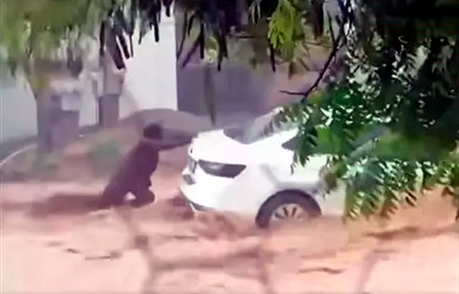 Baja California Sur se mantiene en alerta por el huracán 'Priscilla'; se suspendieron clases, actividades burocráticas y vuelos