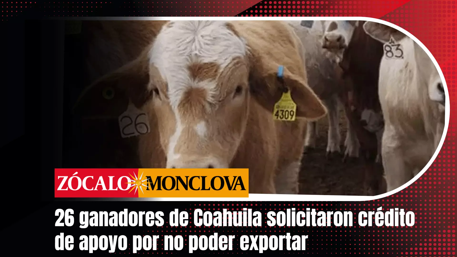 Del programa para ganaderos afectados por el cierre de la frontera a la exportación a Estados Unidos, veintiséis productores ya solicitaron crédito
