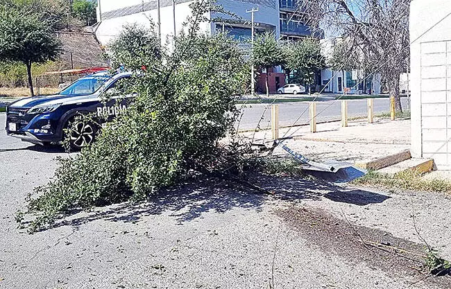 El responsable huyó del lugar, dejando únicamente daños materiales
