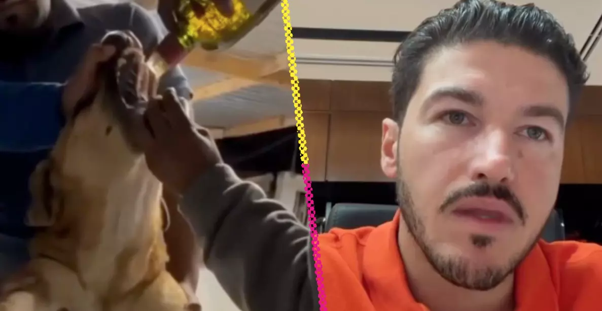 El gobernador adelantó que los responsables tendrán cargos penales