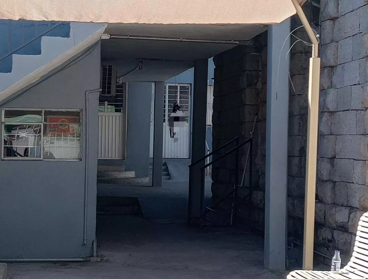 El hallazgo, que fue captado en imágenes por transeúntes, desató una ola de condena en redes sociales y avivó el debate sobre la crueldad en el mu