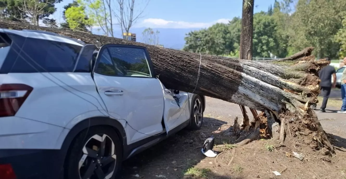 Los fuertes vientos registrados en el estado de Veracruz derivadas el Frente Frío 11 dejaron miles de pesos en pérdidas a lo largo y ancho de la ent