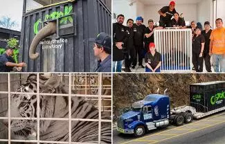 Mientras no exista sistema confiable de trazabilidad y cuidado, estos animales seguirán dependiendo de la buena voluntad de santuarios y particulares