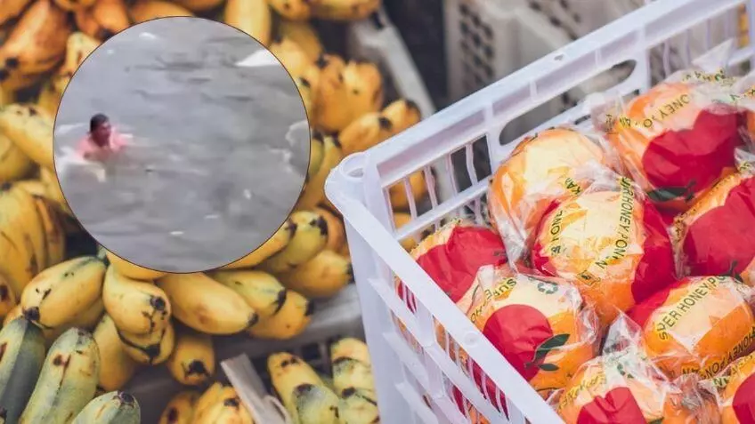 Fue a través de redes sociales donde testigos compartieron el momento