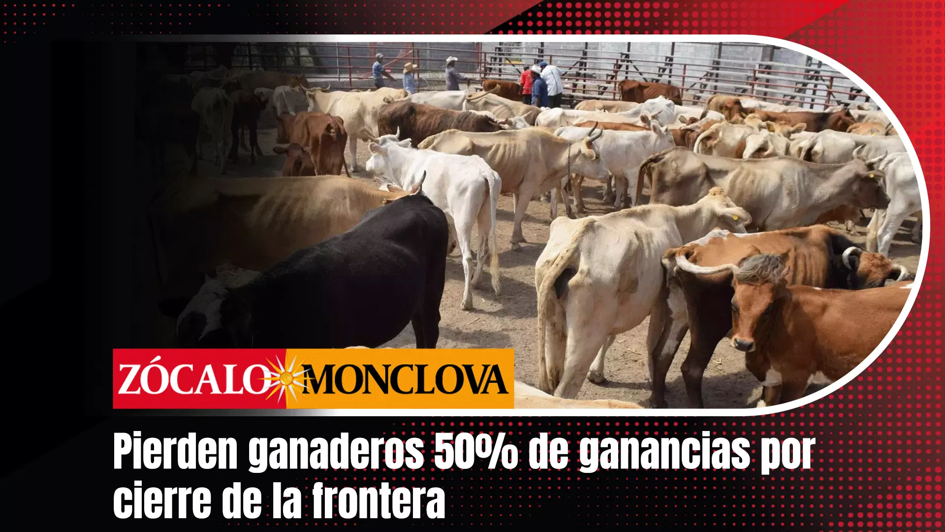 El sector ganadero del estado está dejando de percibir aproximadamente el 50% del valor de cada becerro debido al cierre de la frontera para exportac