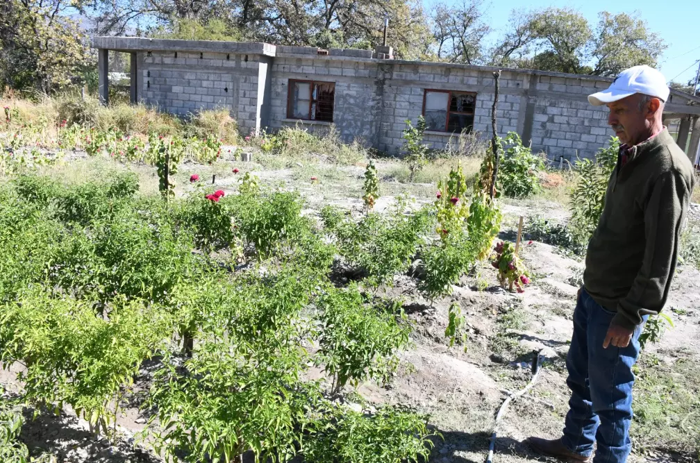 Esta situación pone en riesgo no solo la cosecha actual, sino también la inversión de los agricultores