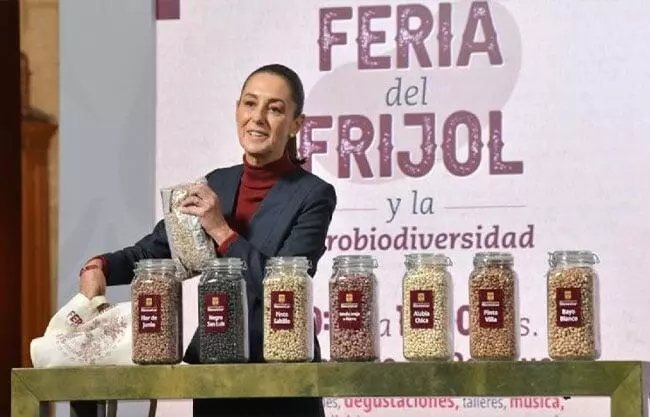 El lanzamiento del Frijol Bienestar acerca a las familias un producto básico a costo accesible, reforzando la idea de ofrecer alimentos esenciales