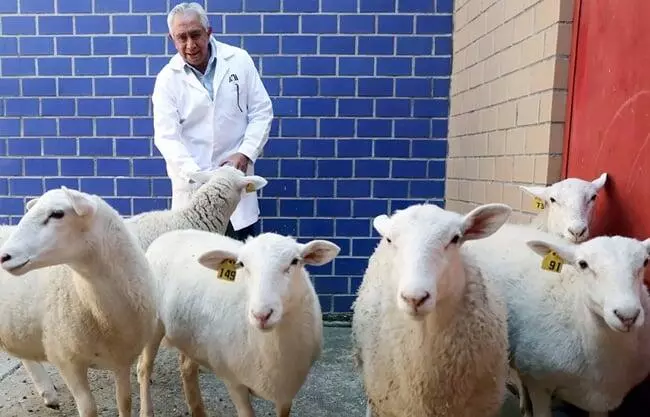 Los investigadores remarcaron la importancia de este logro, pese a las dificultades para la investigación científica en México, como la falta de ap