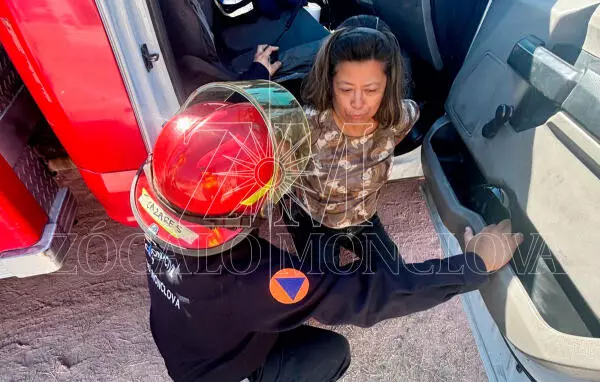 Los hechos ocurrieron la mañana de hoy, cuando la mujer, vecina de la calle Rafael de la Fuente, en la zona centro, acudió al camposanto.