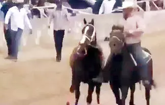 Al menos 12 personas murieron ayer en dos balaceras en Sinaloa y Chihuahua