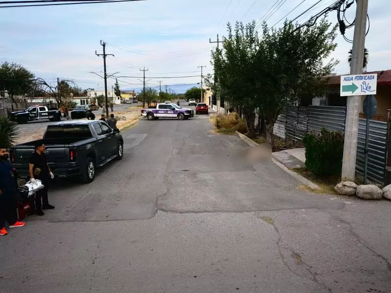 Unidades de los diferentes cuerpos de la Policía Estatal dieron apoyo para la línea de investigación.