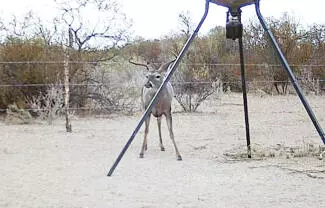 La Comisión Nacional de Áreas Naturales y Protegidas exhorta a los aficionados por la cacería, a hacerlo bajo los lineamientos de la Ley Federal de Caza