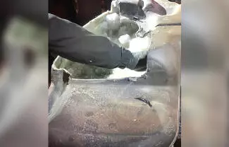 Los policías realizaron una inspección minuciosa al vehículo, donde encontraron n compartimiento oculto en el tanque de la gasolina