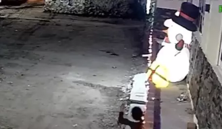 Un video muestra el momento en el que una mujer intenta retirar la decoración navideña de la fachada de una casa ubicada en San Juan Otlaxpan, Hidalgo