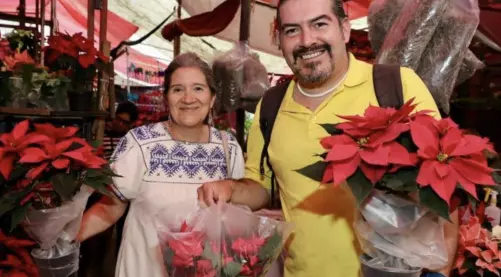 Michoacán aporta 21.5% de la producción nacional de nochebuena, con ocho millones de plantas y beneficios económicos para más de 600 familias