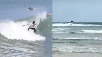 Un grupo de delfines fue visto nadando cerca de la costa sorprendiendo a turistas y locales. El avistamiento resaltó la riqueza natural del litoral y generó gran interés entre los visitantes.