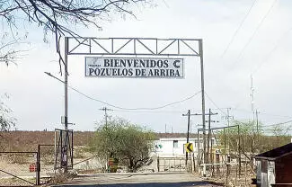 Se estará trabajando en la captura de estos animales a fin de evitar que esto siga ocurriendo