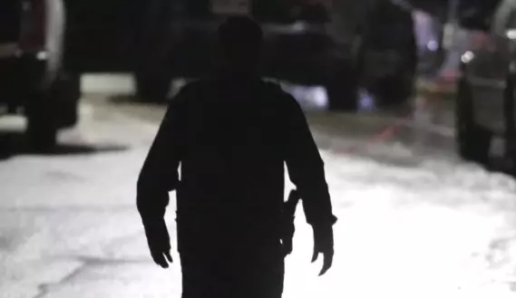 Los animales eran de la raza American Bully, de color amarillo