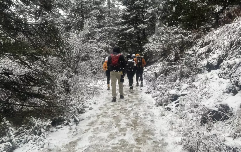 Se espera que las bajas temperaturas continúen el resto del domingo y parte del lunes, por lo que en algunos municipios se seguirán generando estos fenómenos meteorológicos.