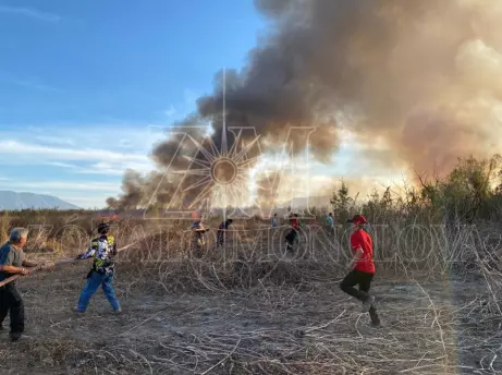 Después de las 15:00 horas de la tarde, una gran cortina de humo alertó a los ciudadanos