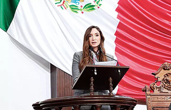 Plantea diputada refugios temporales para seres sintientes sin hogar