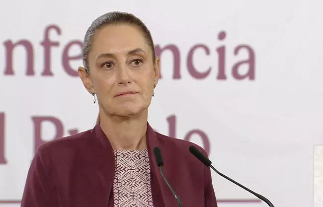 La Presidenta informó sobre una reunión de su gabinete con empresarios de la minería.