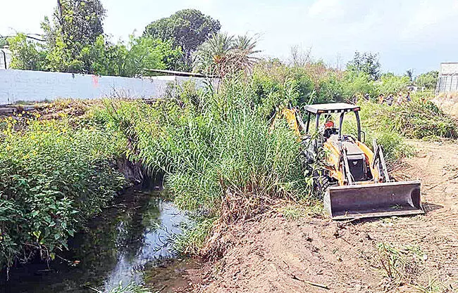 Entregará Sari proyecto de arroyo a Sheinbaum