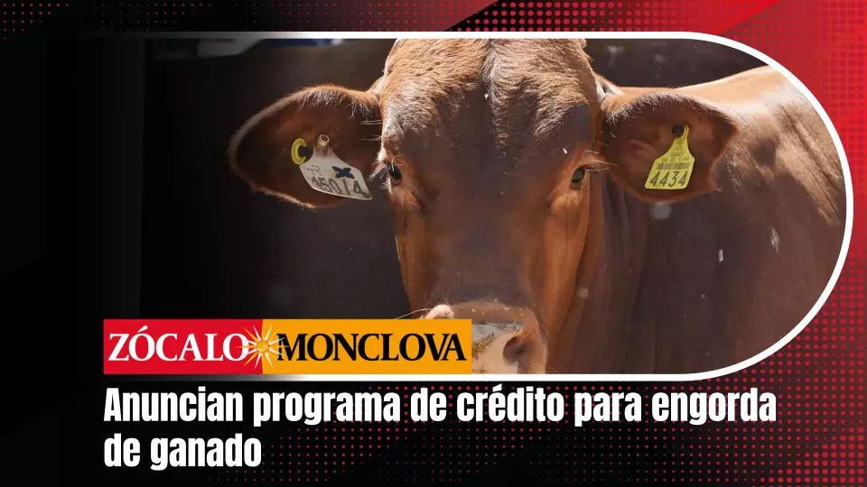 Comentó que, junto con el alcalde Carlos Villarreal Pérez, definirán la fecha y el lugar en que se realizará esta feria, aunque reiteró que está programada para finales del mes.