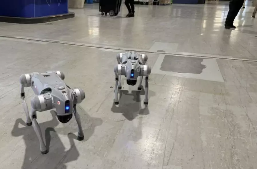 Los perros robots tácticos apoyarán en los operativos en labores de vigilancia, atención y monitoreo. 