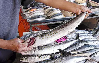 Los pescados y mariscos son de fácil descomposición y se acelera en temperaturas altas, lo que puede derivar en infecciones e intoxicaciones