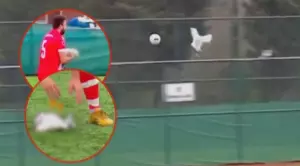 El video ha conmovido a usuarios de redes sociales, quienes destacan la buena obra que realizó el capitán Gani Çatan