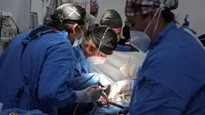 En México, la tasa de donación ha aumentado en la última década, al pasar de 2.5 a 4.3 donantes por millón de habitantes. Sin embargo, la cifra aún es baja en comparación con otros países como España, donde la tasa ronda los 45 donantes por millón.