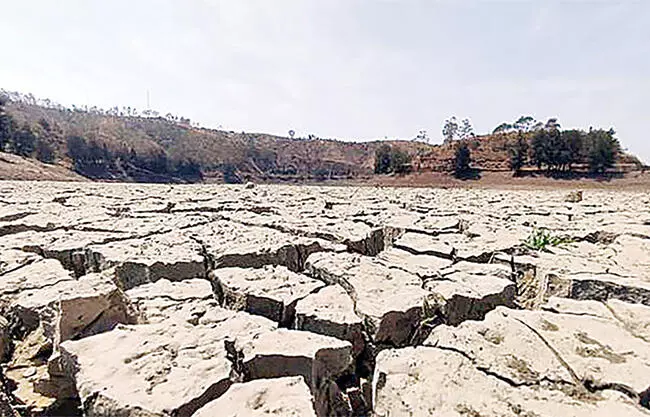 Enfrenta sequía extrema Región Norte del Estado