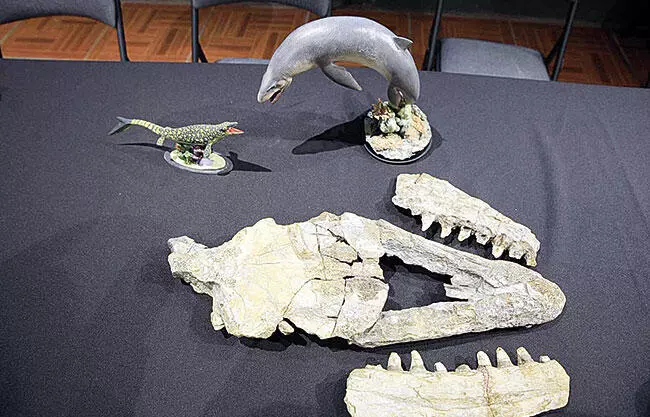 Descubren depredador de 70 millones de años